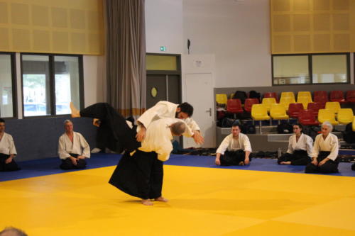 44 KOSHI NAGE